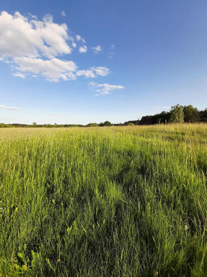 Willa Woodland - Dom Z Sauna I Balia Kamienczyk  Zewnętrze zdjęcie