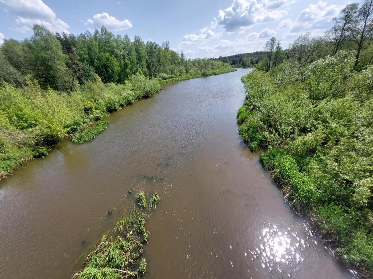 Willa Woodland - Dom Z Sauna I Balia Kamienczyk  Zewnętrze zdjęcie