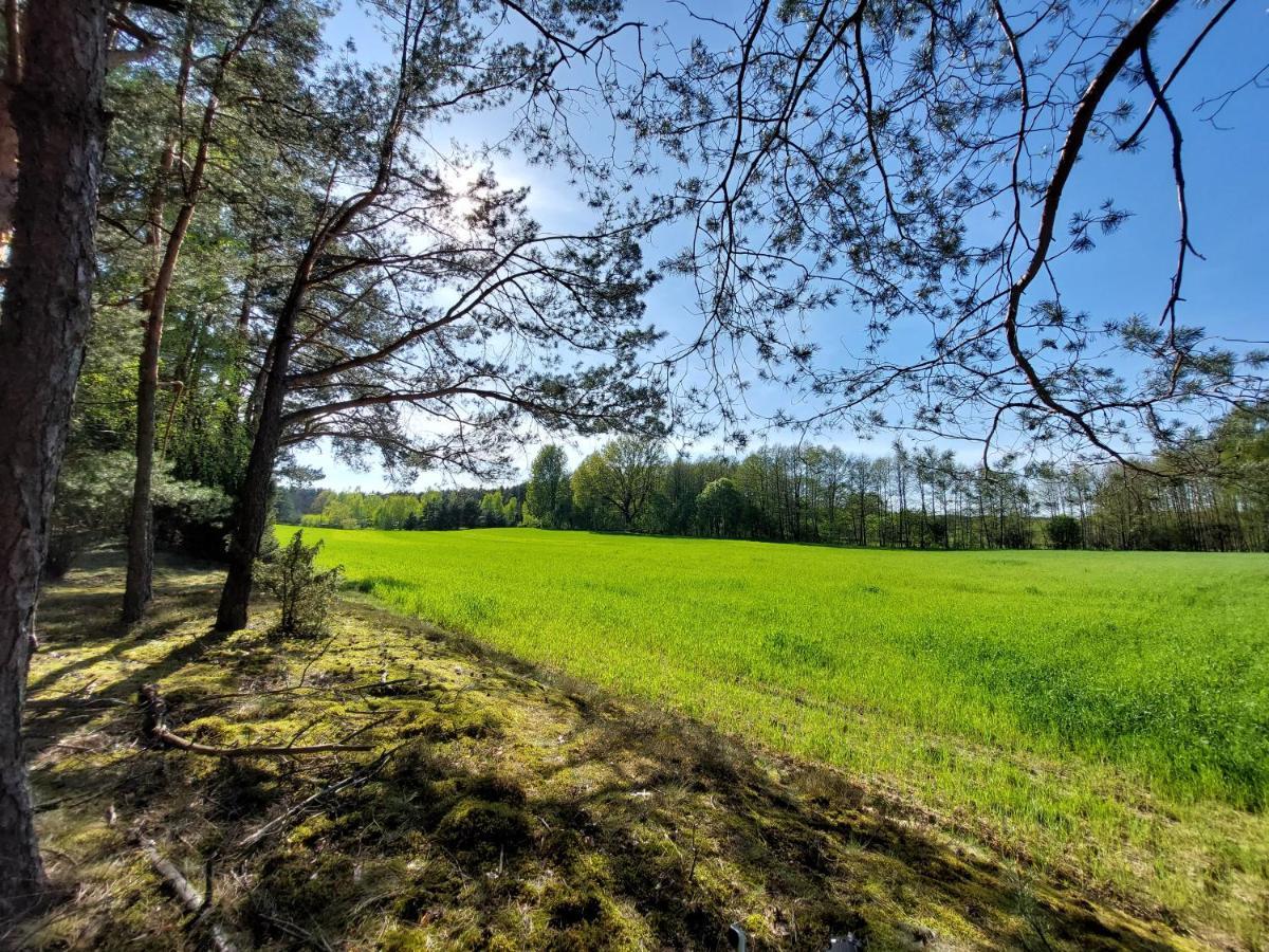 Willa Woodland - Dom Z Sauna I Balia Kamienczyk  Zewnętrze zdjęcie