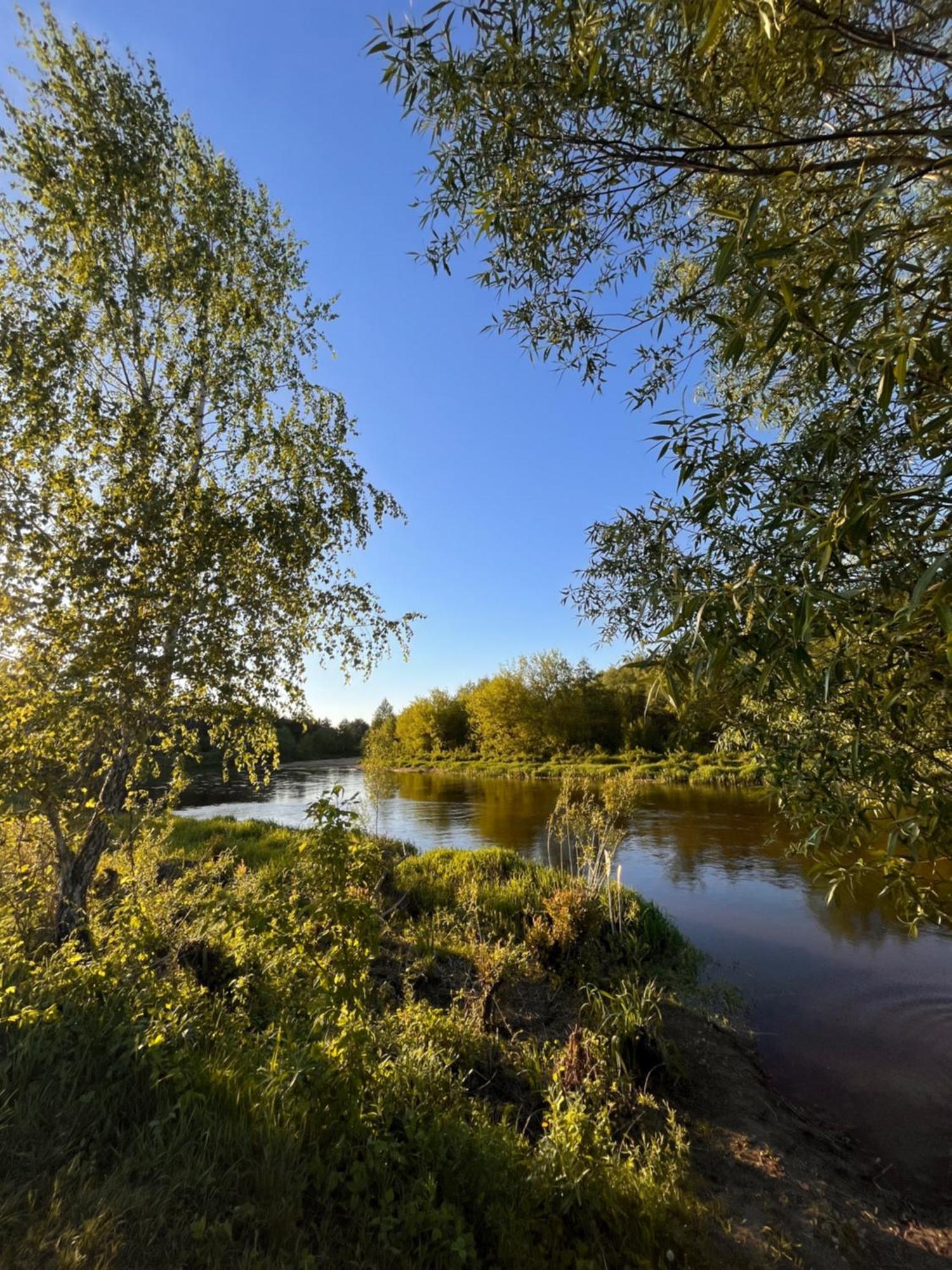 Willa Woodland - Dom Z Sauna I Balia Kamienczyk  Zewnętrze zdjęcie